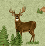 Forest Wildlife with Ivory back