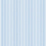 Double Sided Blue Stripe
